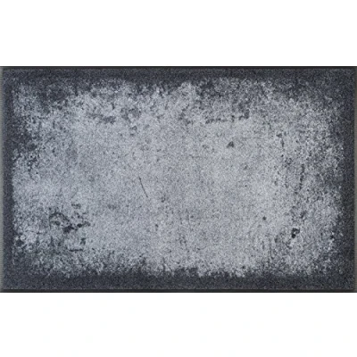 Image of wash+dry Doormat, Polyamide Back: Nitrile Rubber, Gray, 60 x 140 cm (Rechteckig)
