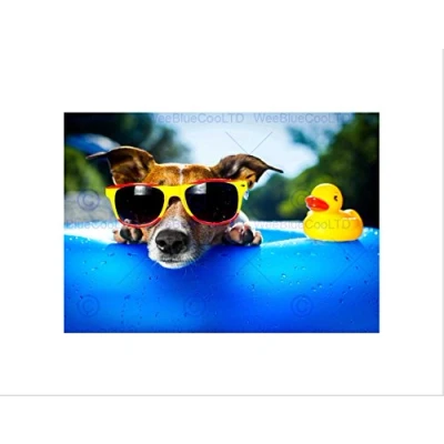 Image of Wee Blue Coo Jack Russell Beach Dog Rubber Duck Art Picture Wall Print