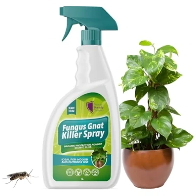 Image of Fungus Gnat Killer Spray 1L Organic Protection Against Sciarid Flies Effective for Houseplants, Seedlings Safe Indoor &amp; Outdoor Use Targets Adults Larvae Eco Friendly Formula