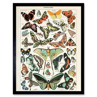 Image of Artery8 Millot Encyclopedia Page Variety Butterflies Art Print Framed Poster Wall Decor 12x16 inch