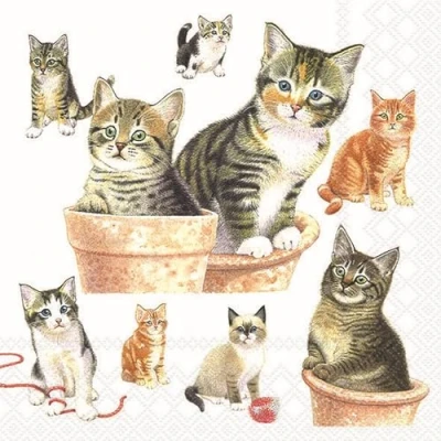 Image of AMBIENTE 20 Napkins Animal Motifs Many Cute Cats as Table Decoration Paper with Motif Also for Decoupage and 33 x cm