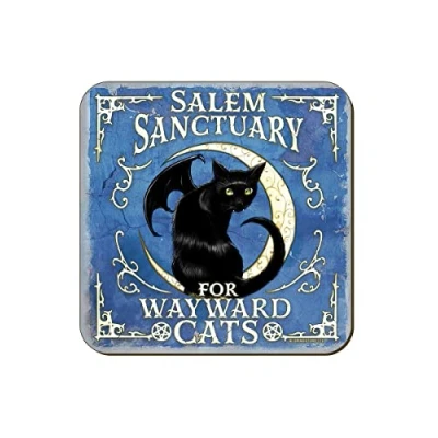 Image of Grindstore Originals Salem Sanctuary for Wayward Cats Coaster Blue 9.2x9.2cm