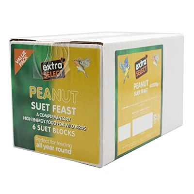 Image of Extra Select Wild Bird High Energy Peanut Suet Blocks 6x300gm