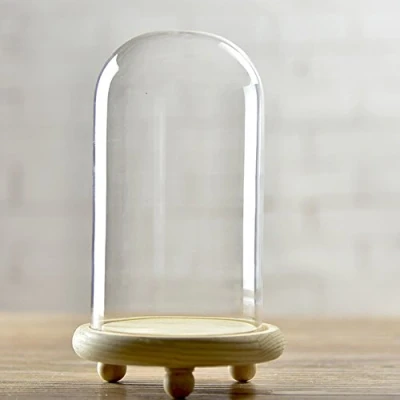 Image of Artlass Glass Cloche Bell Jar Dome With wooden Tray Diameter 10 cm (Large)
