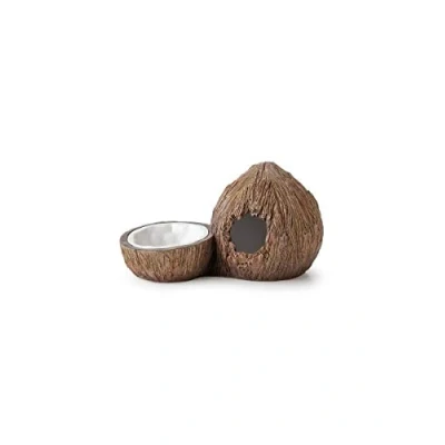 Image of Exo Terra Tiki Hide &amp; Water Dish,Brown,2 count (Pack of 1) 14 x 23 cm; 330 Grams