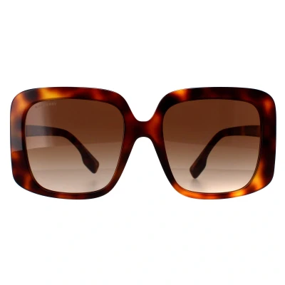 Image of Sunglasses Burberry Be4363 penelope col. 331613 Woman Square Havana