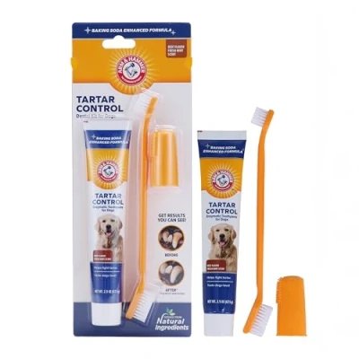 Image of The Company of Animals ARM &amp; HAMMER Paste Brush Set Clear