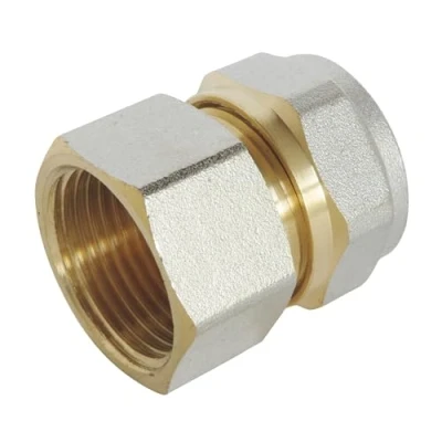 Image of SOMATHERM for YOU / 3717 20 Compression Straight Fitting Ø20 Multilayer Pipe Female 20/27 (3/4 Inch)