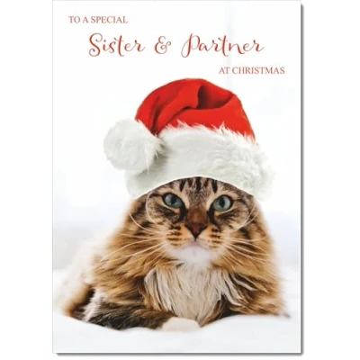 Image of doodlecards Sister and Partner Christmas Card Cat with Santa Hat Medium Size for &amp; Plain Envelope