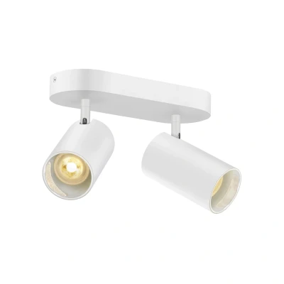 Image of SLV Asto Tube downlight GU10 2 bulb white