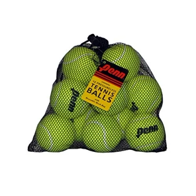 Image of Penn Pressureless Tennis Balls, 12 Ball Mesh Bag