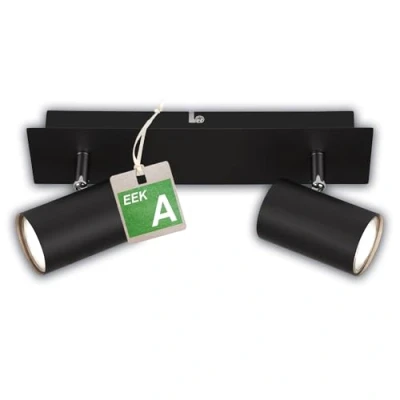 Image of Briloner Isil A ceiling lamp, black, 2 bulb, metal, swivelling