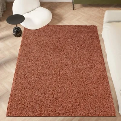 Image of homeart Area Rug Super Soft Shaggy Rugs For The Living Rooms, Bedrooms And Kitchen Modern, Easy To Clean Carpet 80x150 cm, Terra