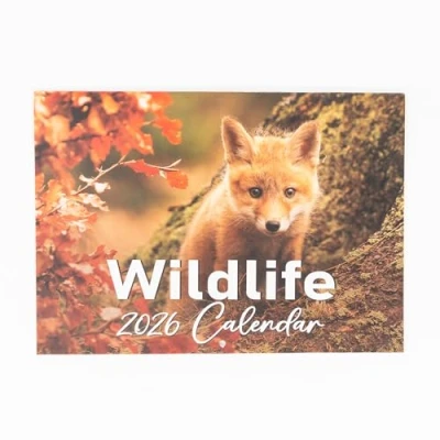 Image of Evelay 2025 A4 British Wildlife Calendar Month to View A3 When Open Wall Planner Family Home Office (British Wildlife)