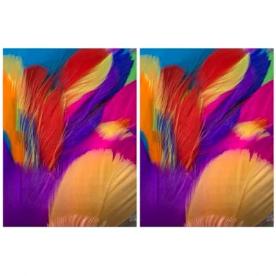 Image of Mixed Solid Feathers, 100 Pack (2 Pack)