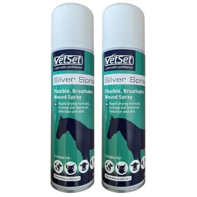 Image of ALUMINIUM SILVER SPRAY 9222, Pack of 2