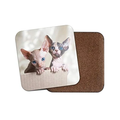 Image of 1 x Sphynx Cats Coaster Cat Kitten Siamese Cute Blue Eyes Mum Auntie #15274