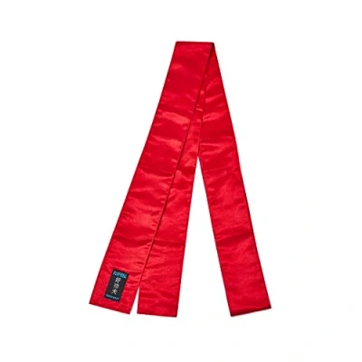 Image of Playwell Martial Arts Grading Satin Kung Fu Sash Red