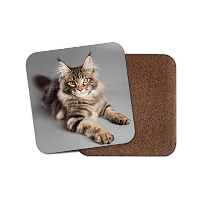Image of 1 x Beautiful Maine Coon Cat Coaster Kitten Mum Auntie Animals Pets #15678