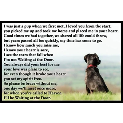 Image of Black Labrador Pet Dog Loss Bereavement Memorial Flexible Fridge Magnet Waiting at the Door