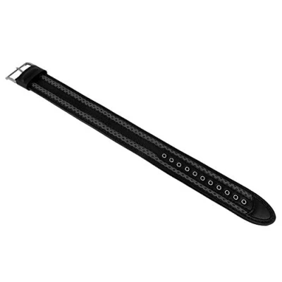 Image of Casio Watch Band AW 591 CL 1AV.23mm Wide 3.5mm Thick One Pc Loop Thru Black/blue
