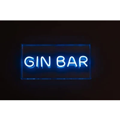 Image of Gin Bar Blue Bright LED Neon USB Powered Dimmable Studio Sign Light Box