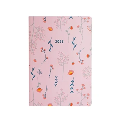 Image of Letts of London Meadow A5 Week to View 2023 Diary Peach, 23 082076