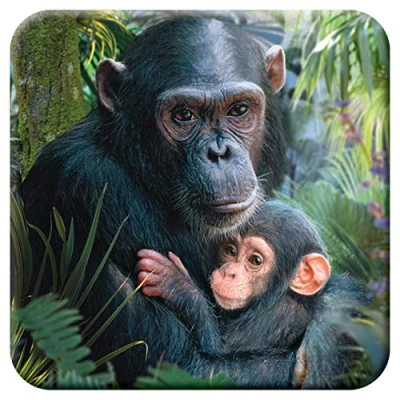 Image of 3D LiveLife Cork Coaster Cute Cuddles from Deluxebase. Lenticular Chimpanzee Coaster. Non slip drinks mat with original artwork licensed renowned artist, David Penfound
