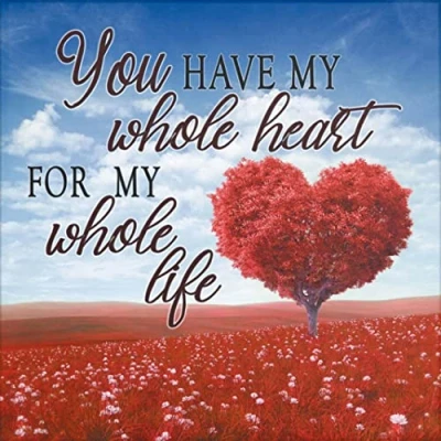 Image of OWN4B Cross Stitch Kits Stamped, Warm Inspirational Sentences Printed Pattern 11CT 14.2x14.2 inch DIY Embroidery Kit (Heart)