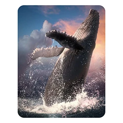 Image of 3D LiveLife Magnet Whale Jump from Deluxebase. Lenticular Ocean Fridge Magnet. Magnetic decor for kids and adults with artwork licensed renowned artist, David Penfound
