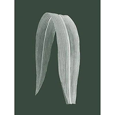 Image of Wee Blue Coo Botanics Hunter Folded Leaf Unframed Art Print Poster Wall Decor 12x16 inch