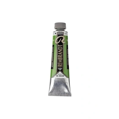 Image of Rembrandt Paint Oil MED, Cinnabar Green Medium, One Size