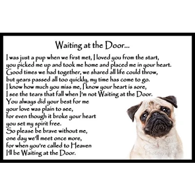 Image of Pug dog Memorial pet bereavement Flexible Fridge Magnet Waiting at the Door