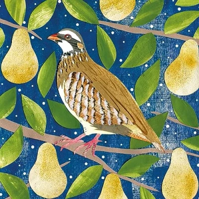 Image of Museums &amp; Galleries Charity Christmas Cards Partridge in a Pear Tree Eco Friendly and Recyclable Pack of 8