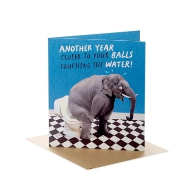 Image of UK Greetings Birthday Card for Him/Friend Funny Elephant &amp; Toilet Design
