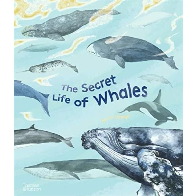 Image of The Secret Life of Whales (The Of...Series)