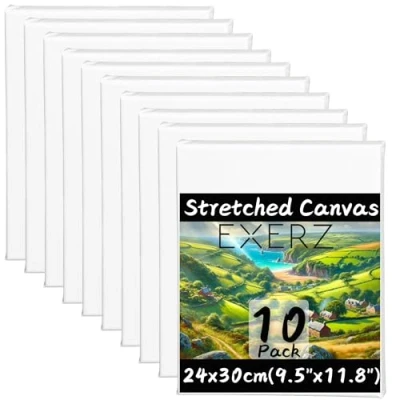 Image of Exerz 24x30cm Framed Canvas 10pk 1.7cm Pre Stretched Artist Blank/280GSM 100% Cotton/Triple Primed/Acid Free/Medium Grain Acrylic &amp; Oil
