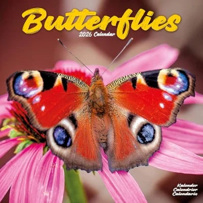 Image of Butterflies Calendar 2026