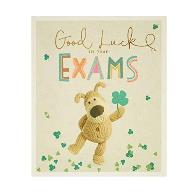 Image of Boofle Good Luck Card in Your Exams Cute Card, 695238 0 1, Multi