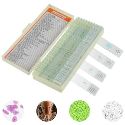 Image of HUAREW Microscope Slides with Specimens for Kids, Glass Prepared Set Accessories, Biology Gifts and Basic Science Kid Education（60 Pcs）