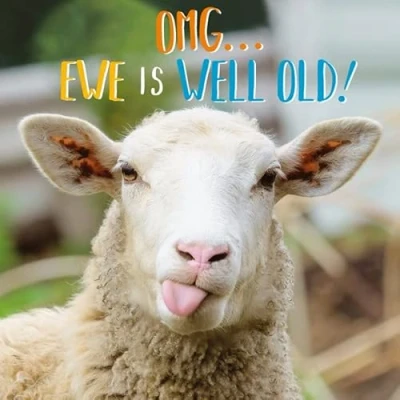 Image of Abacus Cards General Male/Female Funny Birthday Card Rude Ewe Eco Friendly &amp; Recyclable Made in the UK