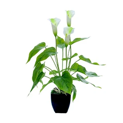 Image of Dysetcs Artificial Flower Calla Lily Potted Plastic Plant with Black Pot Fake Bonsai for Indoor Outdoor Home Office Bedroom Table Decor