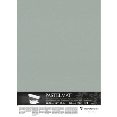 Image of Clairefontaine Ref 96157C Pastelmat Card Sheets (Pack of 5 Sheets) 360gsm 50 x 70cm Light Green Colour Specially Formulated For Use With Pastels