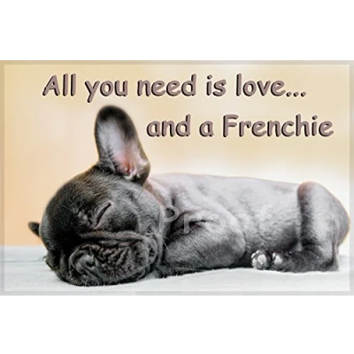 Image of French Bulldog Dog Funny Fridge Magnet