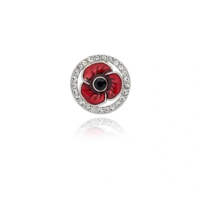 Image of Equilibrium Framed Poppy Pin Brooch