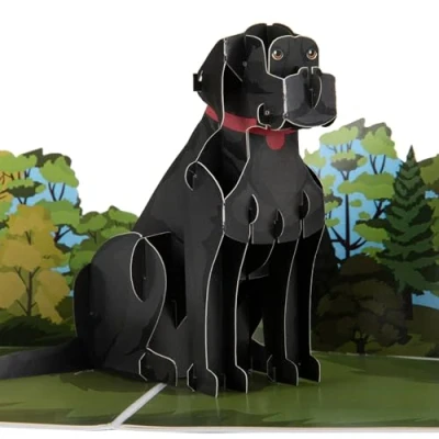 Image of Cardology Black Labrador Pop Up Card 3D Dog Birthday Card, Fathers Day Cards, Mothers Lover Gifts Handmade