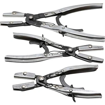 Image of BGS 1718 Hose Clamp Pliers Set 205 305 mm 3 pcs.