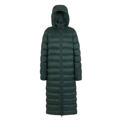 Image of Regatta Womens/Ladies Elender Baffled Hooded Jacket (Darkest Spruce) Dark Green Size 10 UK