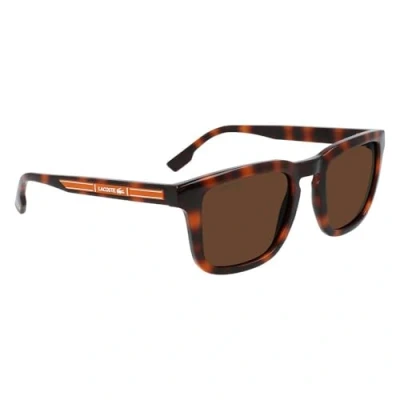 Image of Lacoste L951SRG 214 men&#039;s in Brown