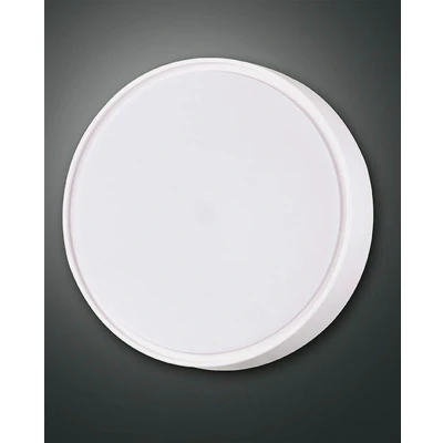 Image of Hatton LED Outdoor Surface Mounted Downlight White Glass, IP65